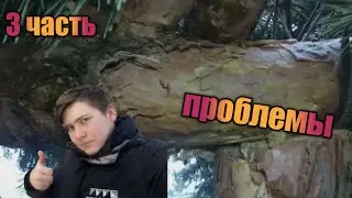 3 СЕРИЯ |проблемы после зимы|