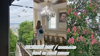 Spring vlog / a few days in my life / conversations, walks, shopping