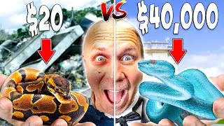 SERPIENTE de $20 vs. SERPIENTE de $40.000