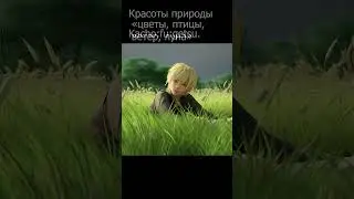 Красоты. Мудрые слова. Перевод. Когда грустно. Поднять настроение. Музыка.