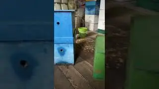 Разные ловушки для пчёл