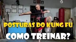 Posturas do Kung fu - Como treinar e a importância delas #northernshaolin