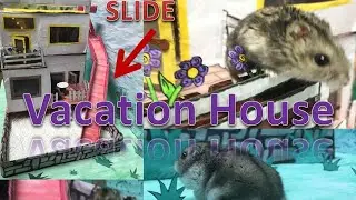 🏡 Hamster's vacation home 🐹