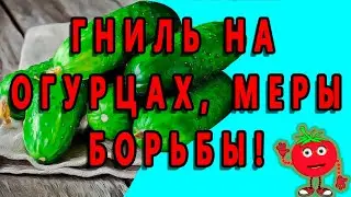 ГНИЛЬ НА ОГУРЦАХ, МЕРЫ БОРЬБЫ!