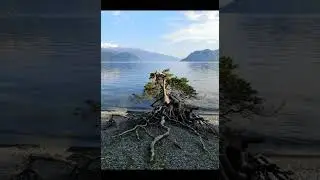 Торба-на-Круче «Жизнь-водоём»