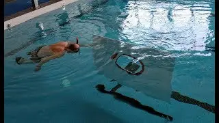 Соревнования подводных роботов в Иннополисе. Водные ИРС 2019