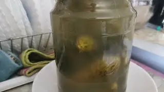 Хрустящие бочковые огурцы в ТРЕХЛИТРОВОЙ БАНКЕ. Холодный способ.
