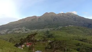 puncak Lawu terlihat cerah dari kebun teh kemuning