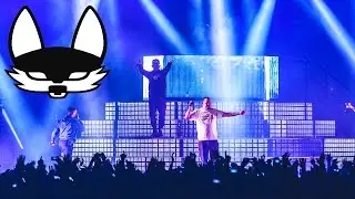 Beginner Live @ Hannover