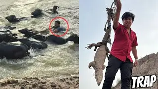 Trap Laga Kr Lizad Pakar Li 🥳 Mamu Ny Ki Buffalo Ride 😱