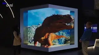 DVSI Anamorphic Walls | 3D LED Display Illusions That Wow
