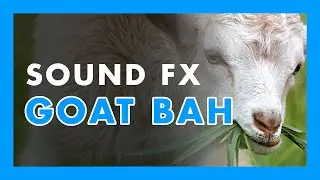 [ SOUND EFFECT ] -  GOAT Bah 🐑🐏