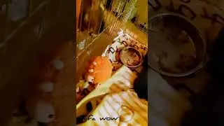 живу как бомж 🤣