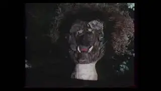 Пугало из чердачного окна (1987) - советский отрывок фильма с дубляжом