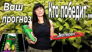 Биогумус. Вермигрунт. Вермикомпост.