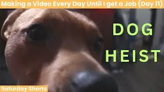 Dog Heist (Saturday Short) (Day 11)