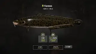 РР4 БЕЛАЯ НАЛИМ / РУССКАЯ РЫБАЛКА 4 РЕКА БЕЛАЯ НАЛИМ / RUSSIAN FISHING BELAYA RIVER 4