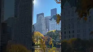 The Plaza Hotel