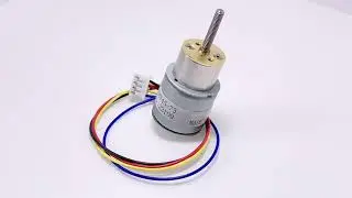 High Precision 20mm 12v DC Micro Gear Stepper Motor 2 Phase 4 Wire
