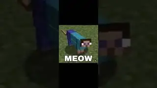 Memes #100