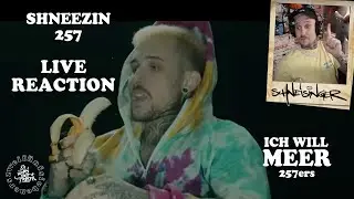 Shneezin 257 REAGIERT AUF Ich will Meer Musikvideo (Live Reaction)