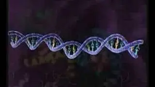 HIV replication with hebrew subtitles