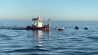 Careers at DEA: Marine Services