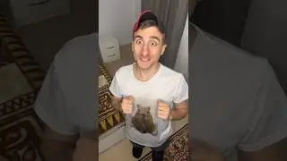 Властелин бубликов 