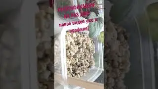 СТРАТИФИКАЦИЯ НА РАЗ ДВА! Анонс нового видео 