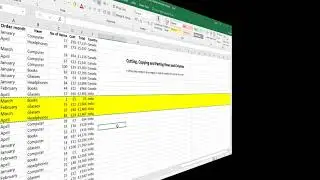 How to Cut, Copy and Paste Excel Rows and Columns