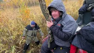 Что ВОДИТСЯ В 