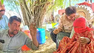 Do you think Nemat will get married?😱🤔😄