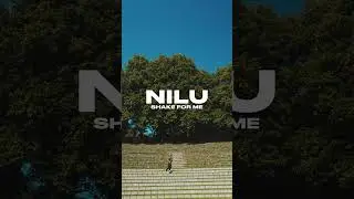 NILU (DK) – Shake For Me