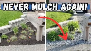 MULCH vs STONE...Why I choose to use stone over mulch in some areas