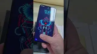 12 августа 2024 г.