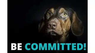 Be Committed! | Best Motivational Quotes