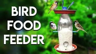 How To Make Bird Food Feeder | Homemade Bird Feeder By Mr. KV