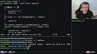 Coding echo in C from Scratch