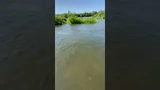 6 августа 2023 г.