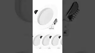 what is lead light