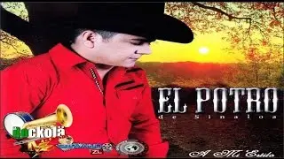 El Potro de Sinaloa / A Mi Estilo / ALBUM