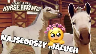 TEN ŹREBAK SKRADŁ MOJE SERDUCHO! || Rival Stars Horse Racing: Desktop Edition