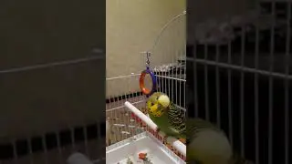 Кешаның 1 ші сөзі 😁👍