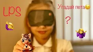 LPS CHALLENGE- as far as I know my pets