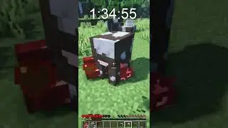 Building a House in 100 Minutes?!