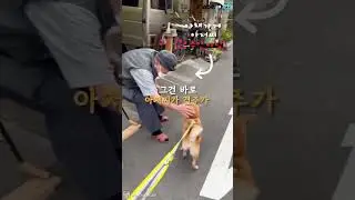 '남의 집 강아지가 꿈이세요?' 단골가게 사장님에게 푹 빠졌다는 강아지