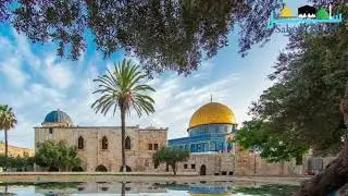 Amazing Masjid al Aqsa Photos