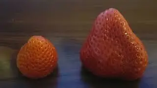 Titan Strawberry