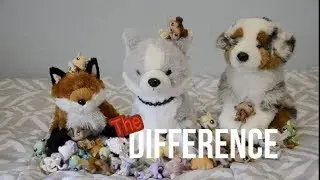 The Difference Between Webkinz and Lps