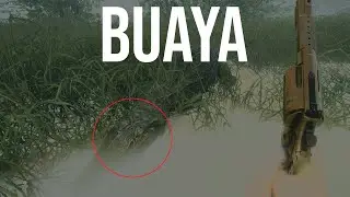 Berburu Buaya | the Hunter Call of the Wild